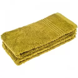 Bamboe Gastendoek, Groen, 50x30cm